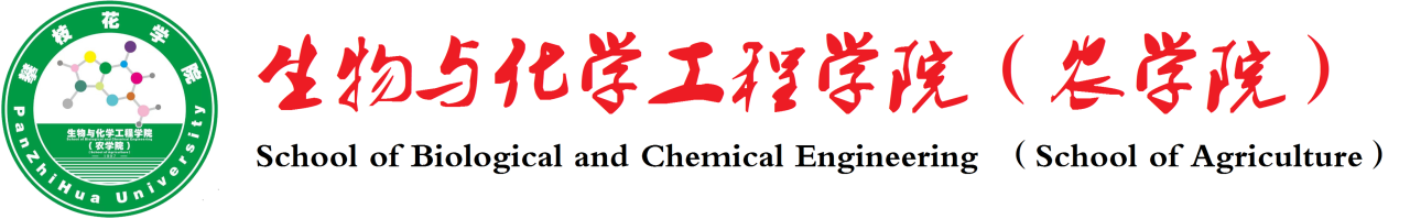 365足球网站